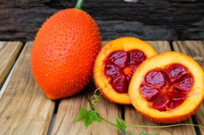 Những bài thuốc dân gian chữa bệnh hiệu quả từ quả gấc