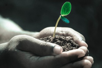 Phú quý không do Trời định, là do cách sống của mình mà ra: Người tài phú đều có 4 đặc điểm hơn người