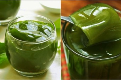 Kỹ thuật trồng cây sương sâm làm dược liệu quý cho cả gia đình