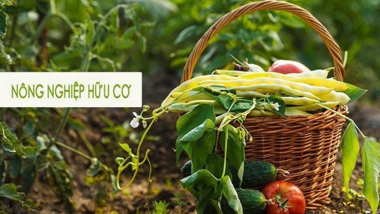 Xu hướng nâng cao tiêu chuẩn chất lượng hàng nông sản