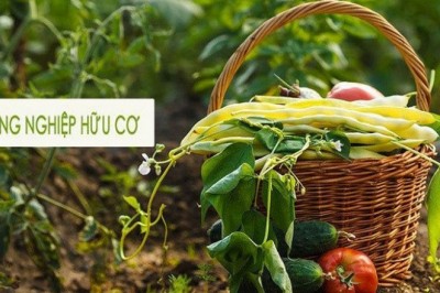 Xu hướng nâng cao tiêu chuẩn chất lượng hàng nông sản