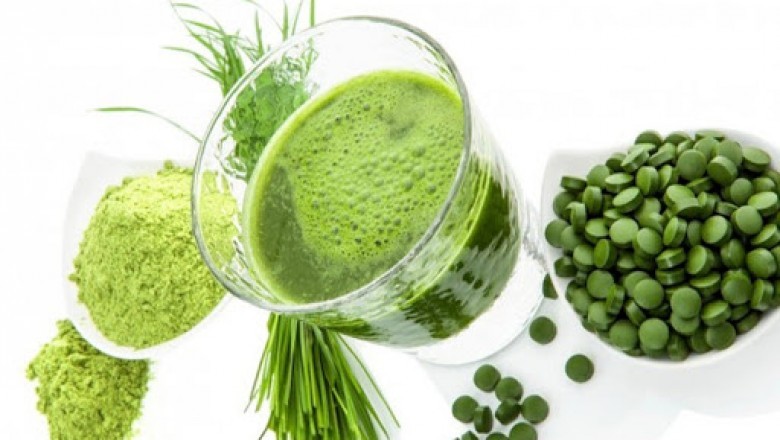 Thực hư về những tác dụng 'thần kỳ' của tảo mặt trời