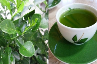 Lá chanh - vị thuốc Đông y có tác dụng kỳ diệu