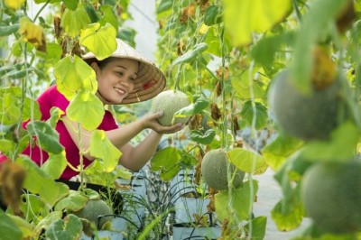 Nông nghiệp hữu cơ - xu hướng giúp nâng cao chất lượng sản phẩm
