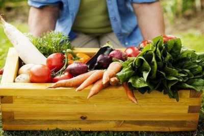 Quy định mới của EU về sản phẩm hữu cơ dành cho các nhà xuất khẩu ngũ cốc, đậu và hạt có dầu