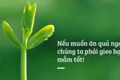 Những khai thị về nhân quả giúp bạn hết khổ mỗi ngày