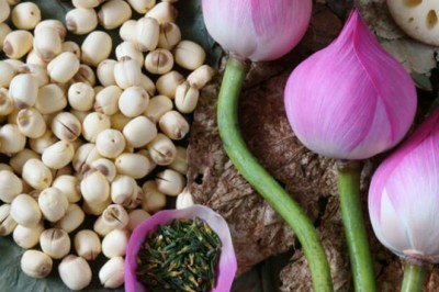 Món ăn, bài thuốc chữa bệnh từ hạt sen