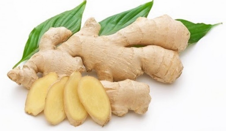 Thuốc “ta” phòng chống virus