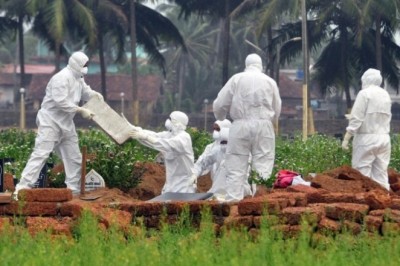 Cảnh báo virus từ dơi gây phù não có thể là đại dịch tiếp theo