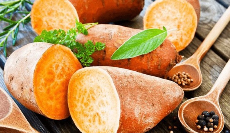 Những tác dụng chữa bệnh tuyệt vời của khoai lang mà ít ai biết đến