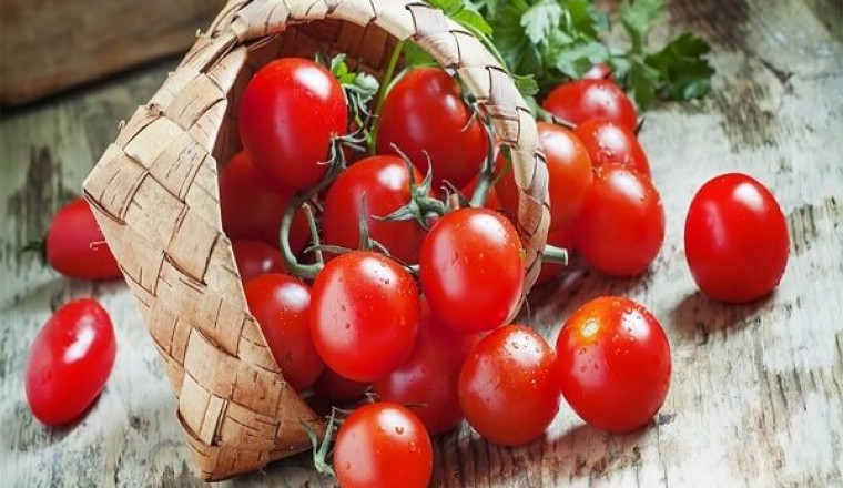 Ăn cà chua mỗi ngày có tốt không? Cần lưu ý gì khi ăn loại quả này?