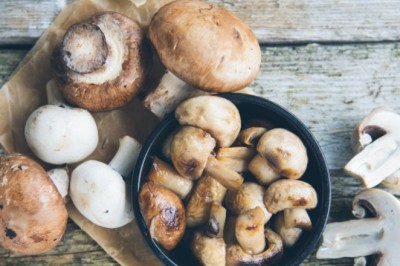 Nấm mỡ có tiềm năng chữa ung thư tiền liệt tuyến