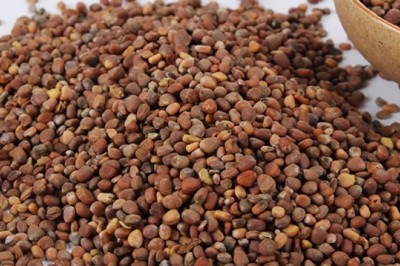 Hạt cải củ - Vị thuốc hay