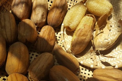 Những công dụng chữa bệnh tuyệt vời ít ai ngờ tới của xơ mướp