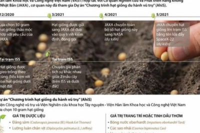 Hạt giống dược liệu của Việt Nam được trồng trên vũ trụ