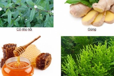Bài thuốc Đông y trị rụng tóc an toàn và hiệu quả ngay tại nhà