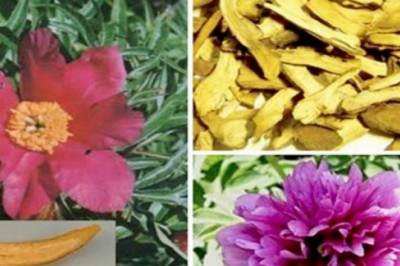 Bài thuốc Đông y điều trị chứng viêm mũi, khô mũi