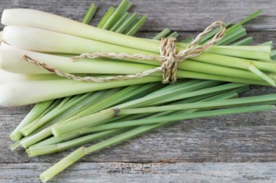 Những lợi ích 'vàng' của củ sả với sức khỏe và làm đẹp