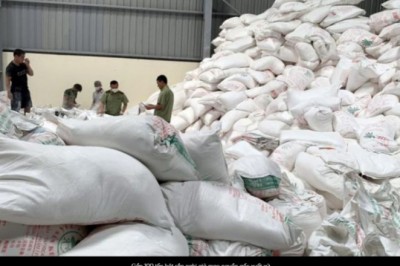 Hải Phòng phát hiện gần 100 tấn tinh bột sắn nghi giả mạo nguồn gốc