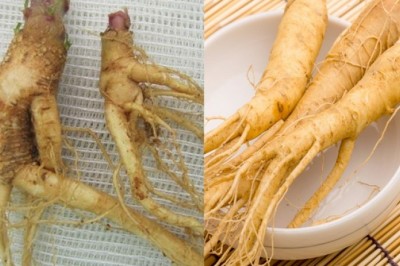 Hòa Bình: 5 người nhập viện do uống rượu ngâm củ cây Thương Lục