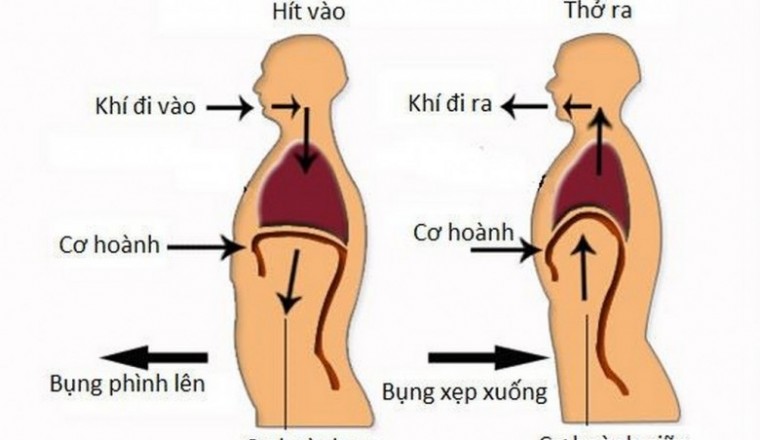 Khuyến cáo của Hội Đông y Việt Nam trong dự phòng lây nhiễm COVID-19
