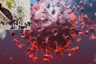 Sử dụng thảo dược và châm cứu trong điều trị COVID-19 hiệu quả