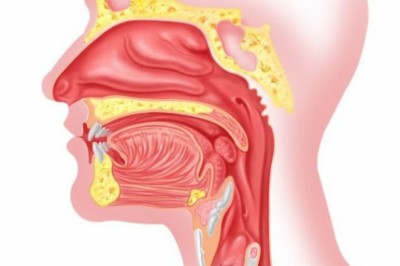 Đông y trị bệnh tai mũi họng