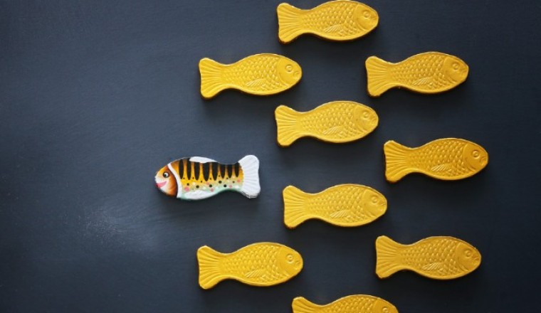 Tăng giá trị bản thân bằng 5 việc làm thường ngày