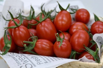 Cà chua chỉnh sửa gene CRISPR đầu tiên trên thế giới được bán