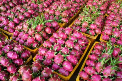 Trung Quốc nhiều lần phát hiện SARS-CoV-2 trên nông sản Việt, bộ NN&PTNT lên tiếng