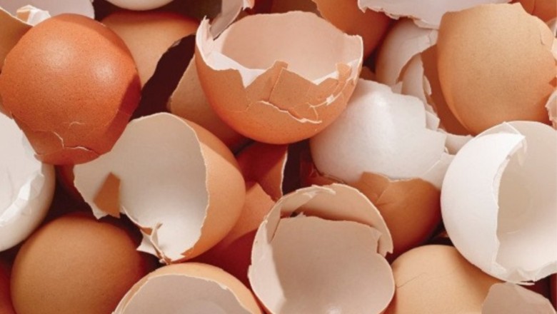 Những cách dùng vỏ quả trứng bạn cần biết