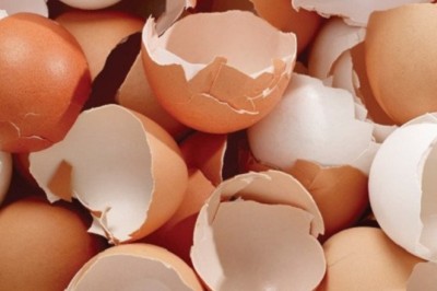 Những cách dùng vỏ quả trứng bạn cần biết