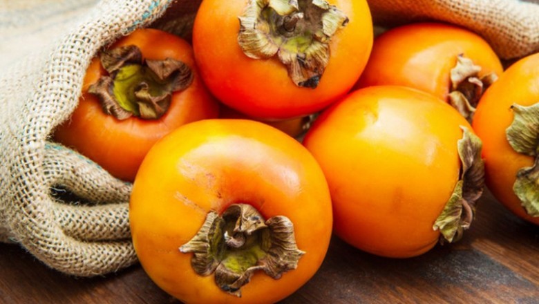 Tắc hoàn toàn ruột non do ăn quả hồng, Vì sao ăn quả hồng lại bị tắc ruột?