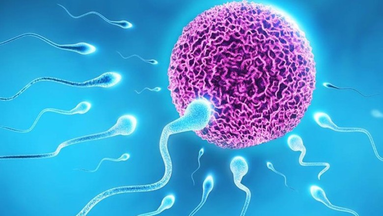 Phương pháp giúp nam giới mắc bệnh quai bị có con