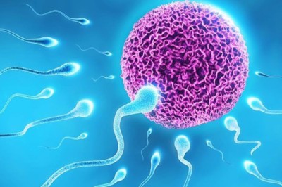 Phương pháp giúp nam giới mắc bệnh quai bị có con