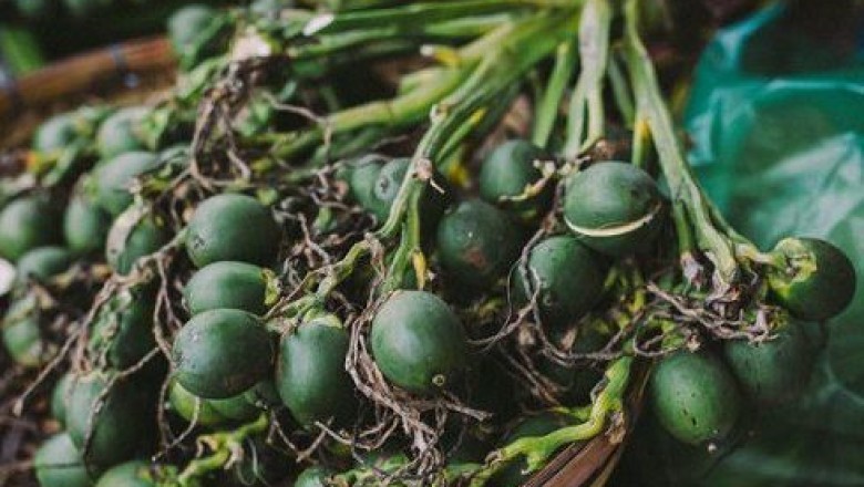 Khởi tố, tạm giam 4 thanh niên chuyên trộm… cau