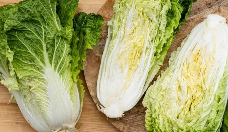 Cây cải thảo và những người không nên ăn tránh gây hại sức khỏe