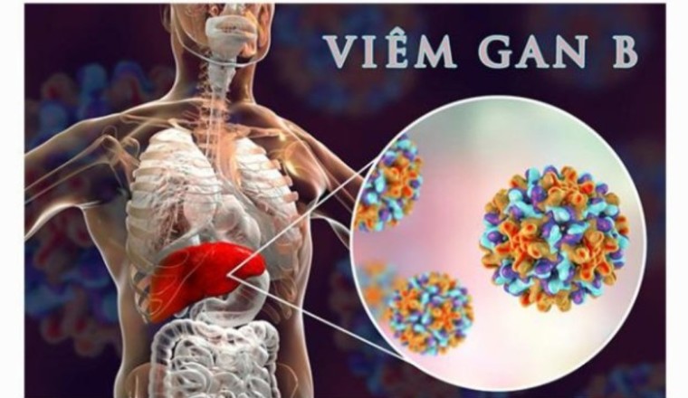 Vaccine mới ngừa viêm gan B ở người lớn