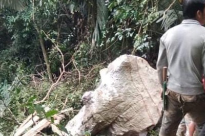 Vào rừng tìm mật ong, người đàn ông bị đá đè tử vong