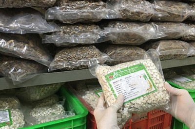 Thị trường thuốc thảo dược toàn cầu dự kiến đạt 550 tỷ đô la Mỹ vào năm 2030