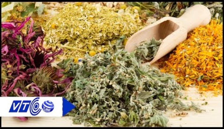 Chữa sỏi thận bằng thuốc nam an toàn, hết sỏi