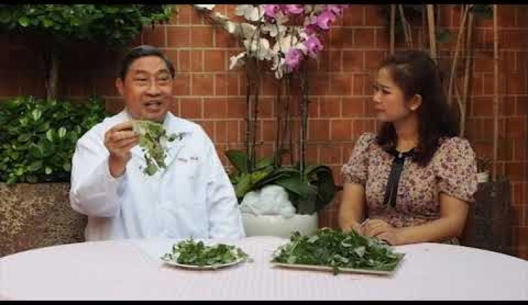 RAU CÀNG CUA CÓ TÁC DỤNG GÌ ĐỐI VỚI SỨC KHỎE – LƯƠNG Y NGUYỄN CÔNG ĐỨC