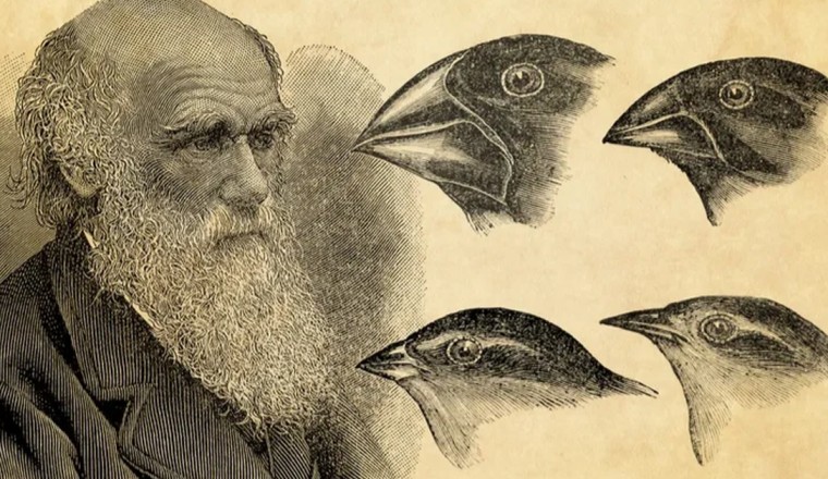 Các nhà khoa học Nghiên cứu mới chỉ ra 'lỗ hổng' trong học thuyết của Darwin về tiến hóa