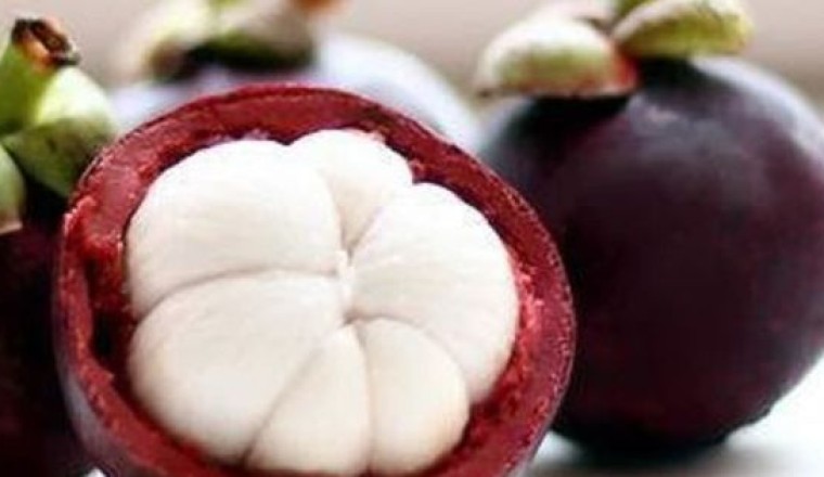 Măng cụt không chỉ là 'nữ hoàng trái cây' mà còn là một vị thuốc quý