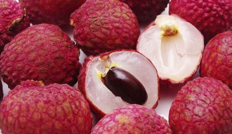 Công dụng tác dụng và bài thuốc từ qủa vải (Quả vải, lệ chi Litchi sinensis Radlk)