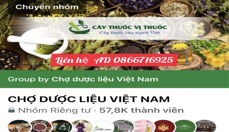 Tham gia mua bán tại Chợ dược liệu Việt Nam