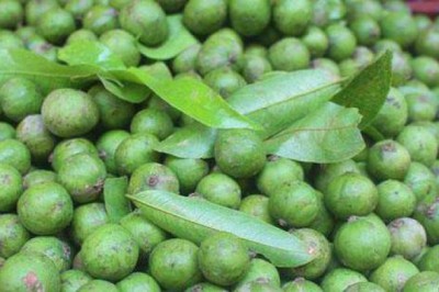 Loại quả nhìn là rớt nước miếng có cái tên hơi kỳ lạ, là thuốc tốt thải độc, khoẻ tiêu hoá