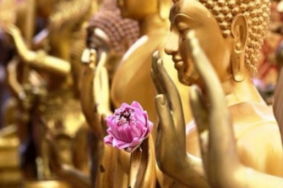 Kiên trì và nhẫn nại để nhận thức sự hoàn hảo của thực tại