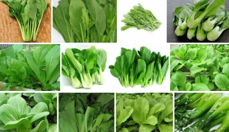 Một số mẫu rau, trái cây trong 'chuỗi thực phẩm an toàn' có chứa chất cấm