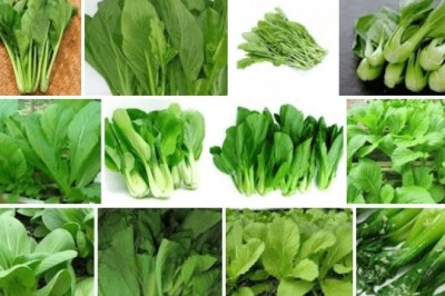 Một số mẫu rau, trái cây trong 'chuỗi thực phẩm an toàn' có chứa chất cấm